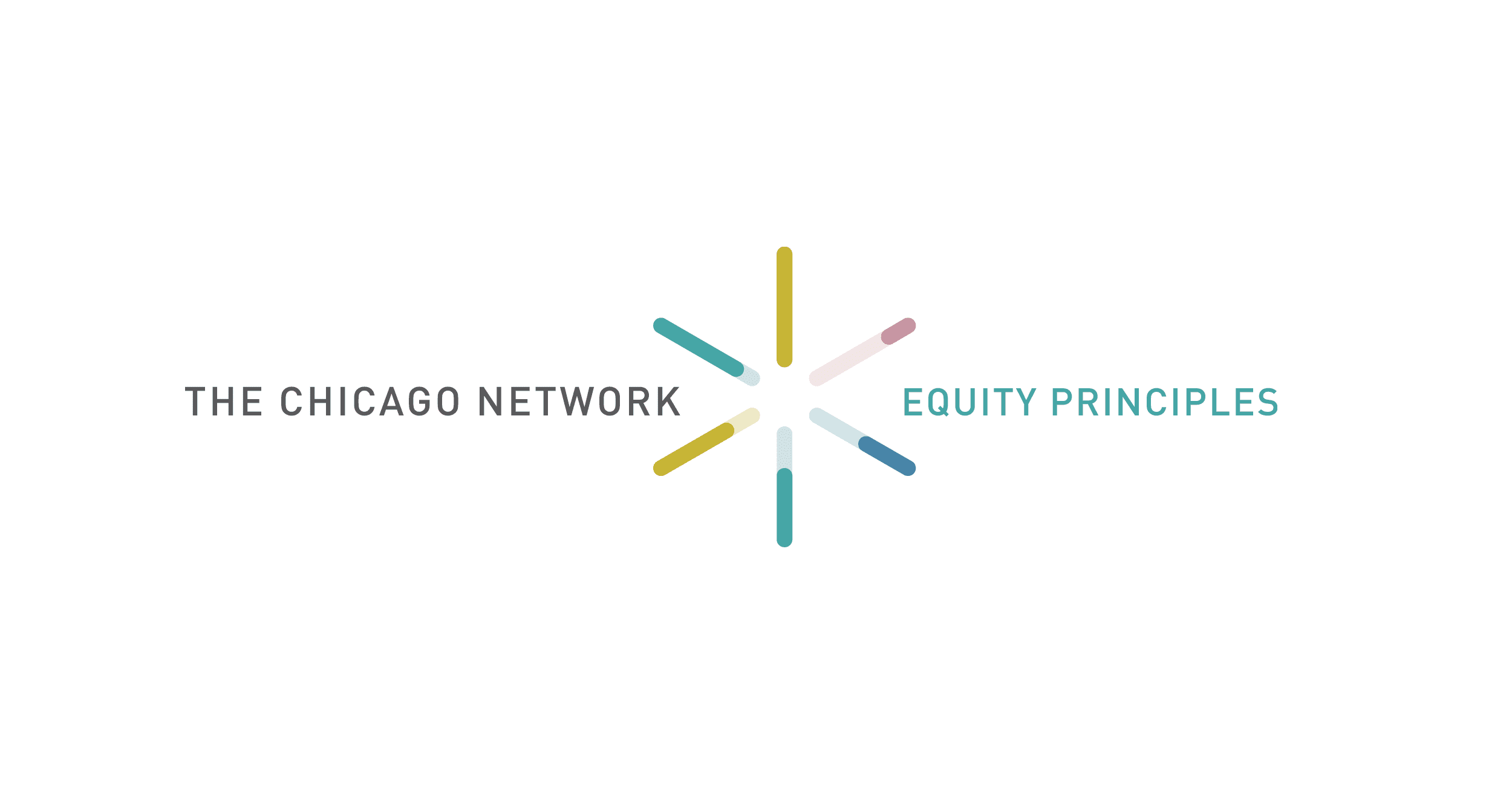 equity-principles-the-chicago-network